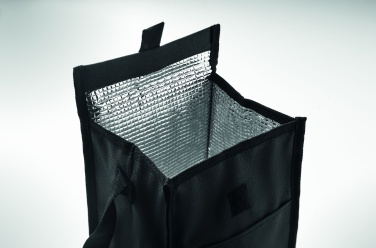 Logo trade promotional giveaway photo of: 600D RPET insulated lunch bag